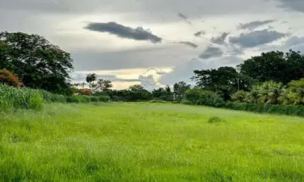 Terreno em condomínio fechado à venda no Residencial Jardim das Acácias, Mirassol 