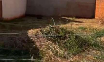 Terreno à venda no Jardim Caetano II, São José do Rio Preto 