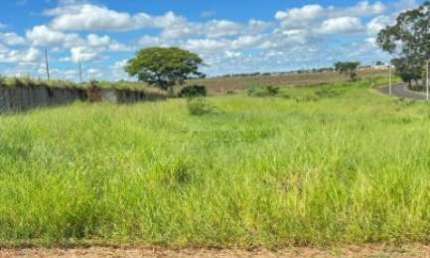Terreno à venda no Centro, Cedral 
