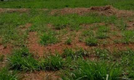 Terreno à venda no Setvalley II, São José do Rio Preto 