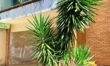 Casa com 3 quartos à venda no Jardim Bosque das Vivendas, São José do Rio Preto 
