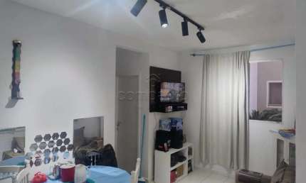 Apartamento com 2 quartos para alugar na Rua Luzia Minelli Capello, Loteamento Clube V, São José do Rio Preto