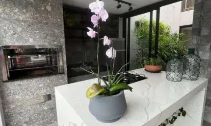 Casa em condomínio fechado com 4 quartos à venda na Rodovia Augusto Montenegro, 5333, Parque Verde, Belém
