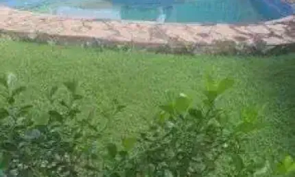 Casa em condomínio fechado com 3 quartos para alugar na Passagem São Pedro, 14, Atalaia, Ananindeua