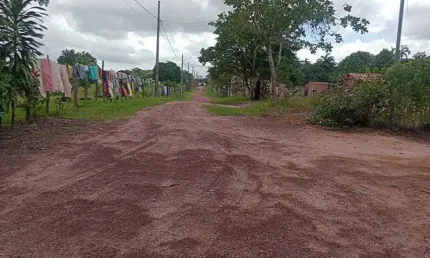 Imóvel para venda com 96000 metros quadrados em centro - santo antônio do tauá - pa