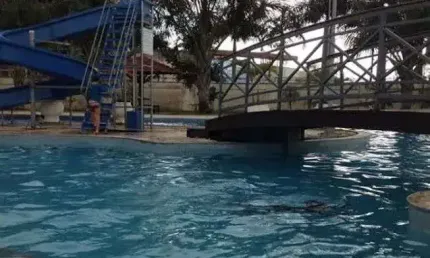 Ng imóvel para venda tem 450 metros quadrados em parque verde - belém - pa