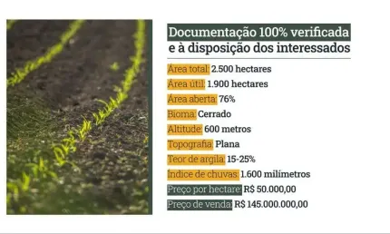 Chácara / sítio à venda na Indefinido, Setor Central, Rio Verde