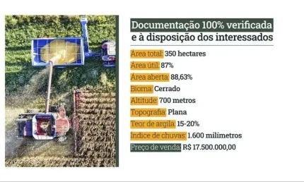 Chácara / sítio à venda na Indefinido, Setor Central, Rio Verde