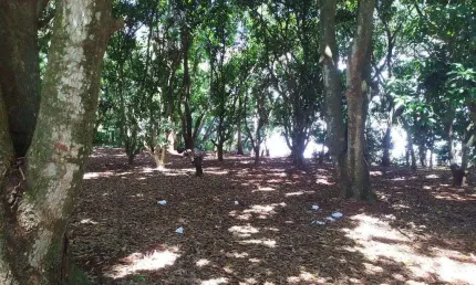 Chácara / sítio com 2 quartos à venda na Indefinido, Santa Cruz do Ocoí, São Miguel do Iguaçu