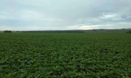 Chácara / sítio à venda na Indefinido, Centro, Porto Seguro