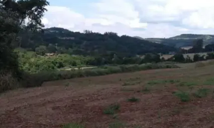 Chácara / sítio à venda na Indefinido, Centro, Missal