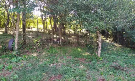 Chácara / sítio à venda na Centro, Centro, São Miguel do Iguaçu
