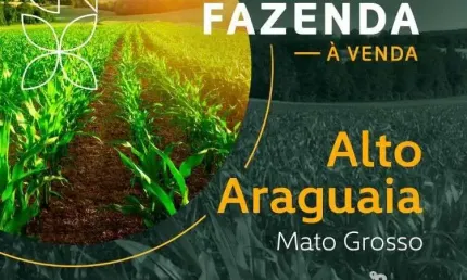 Chácara / sítio à venda no Centro, Alto Araguaia 