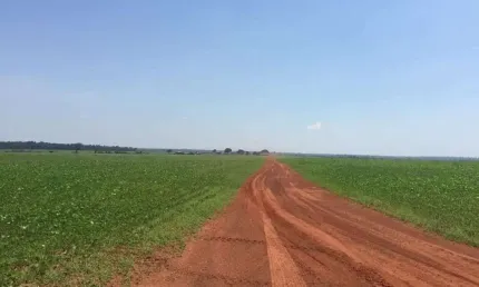 Chácara / sítio à venda na Centro, Centro, Sinop