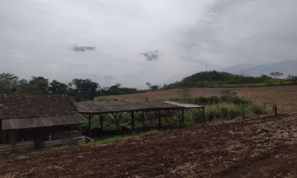Chácara / sítio à venda na Urusanga, Zona Rural, São Miguel do Iguaçu