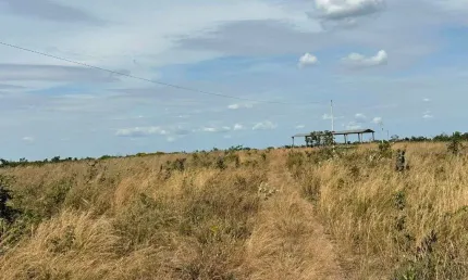 Chácara / sítio à venda na Centro, Centro, Brasnorte