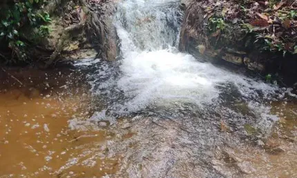 Chácara / sítio à venda na Centro, Centro, Wanderlândia