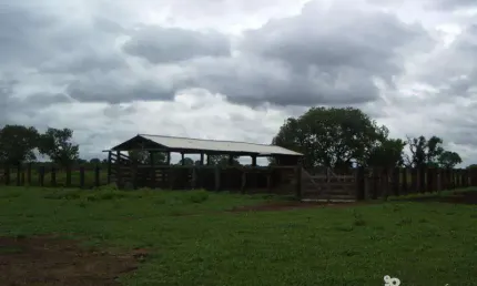 Chácara / sítio à venda na Centro, Centro, São Félix do Araguaia