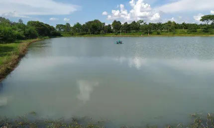 Chácara / sítio à venda na Centro, Centro, São Miguel do Iguaçu