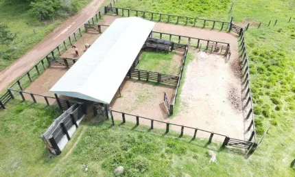Chácara / sítio à venda na Centro, Centro, Matupá