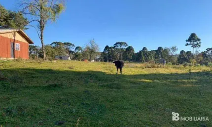 Chácara / sítio à venda na Centro, Centro, Guarapuava