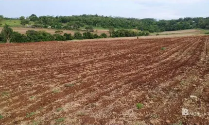 Chácara / sítio à venda na Indefinido, Centro, São Miguel do Iguaçu