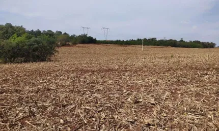Chácara / sítio à venda na Centro, Centro, São Miguel do Iguaçu