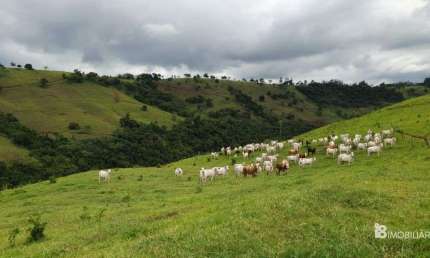 Chácara / sítio à venda na Centro, Centro, Guaraniaçu