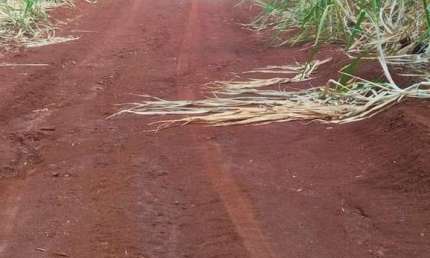Chácara / sítio à venda na Centro, Centro, Umuarama
