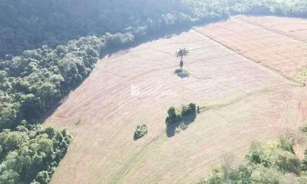 Chácara / sítio à venda na Centro, Centro, Santa Tereza do Oeste