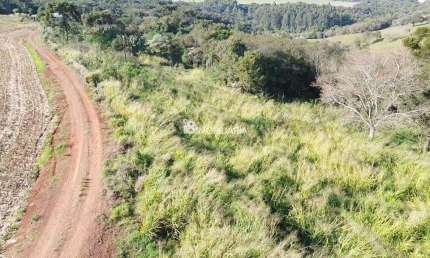 Chácara / sítio à venda na Santa Tereza Do Oeste, Centro, Santa Tereza do Oeste