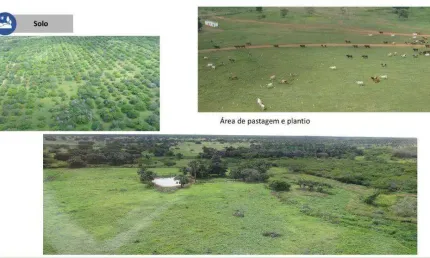 Chácara / sítio à venda no Centro, Aroazes 