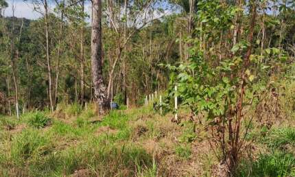Terreno à venda na Rua Henrique Hessel, 4500, Parque Florestal, São Paulo