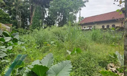 Ubatuba, Jardim Carolina - Terreno aterrado e murado com 450m² documento de escritura.