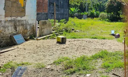 Ubatuba, Mato Dentro - Área com  2.200.000 m²  com  80 metros de testada para Rodovia!