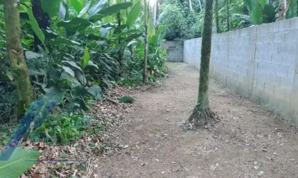 Ubatuba, Itamambuca - lote com 546,00 m2, escritura definitiva, liberação ambiental em condomínio segurança 24 hs.