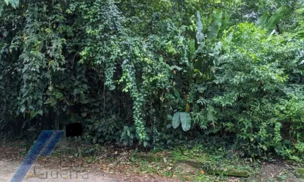 Ubatuba, Itamambuca - Lote com 530,00 mts2, escritura definitiva, em processo deliberação ambiental em condomínio segurança 24 hs.
