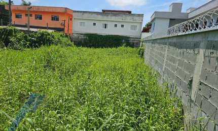 Ubatuba, Jardim Carolina - Terreno com 450 m2, aterrado e murado.