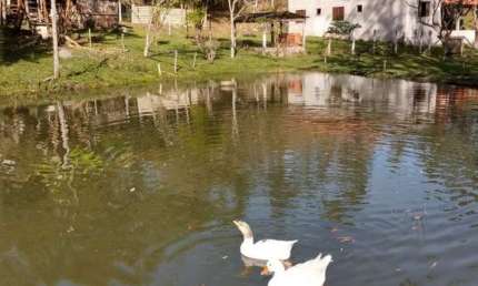 Ubatuba- Horto Florestal - Sitio com excelente localização, com terreno de 21 mil m2.