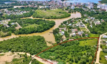 Pensando em novas maneiras de investir o seu dinheiro?