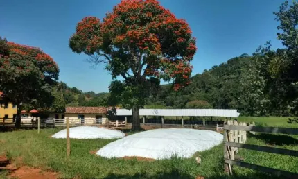 Fazenda à venda, 4 quartos, 4 vagas, Centro - Ponte Nova/MG
