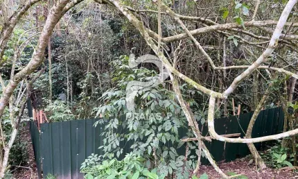Terreno em condomínio fechado à venda na principal 2, --, praia de iporanga, guarujá por r$ 5.600.000