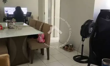 Apartamento à venda no condomínio mais viver pacífico - rosa elze | 2 quartos e gás canalizado