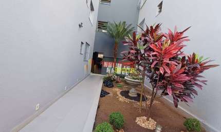 Apartamento para locação, Castelo, Belo Horizonte, MG