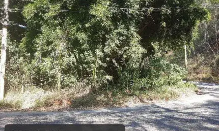 Oportunidade única em nova friburgo - rj | tipo: terreno | negociação: venda direta online  | situação: imóvel