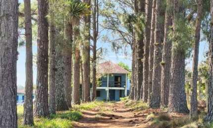 vende-se belissimo sitio na Estacia  Grande em viamao
