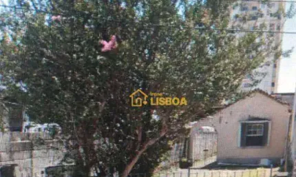Terreno à venda, 300 m² por r$ 1.060.000,00 - vila carrão - são paulo/sp