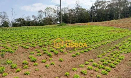 Terreno à venda, 19000 m² por R$ 400.000,00 - Jardim Do Pinhal - Pinhalzinho/SP