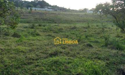 Chácara com 2 dormitórios à venda, 3000 m² por R$ 250.000,00 - Atibaia Vista da Montanha - Atibaia/SP