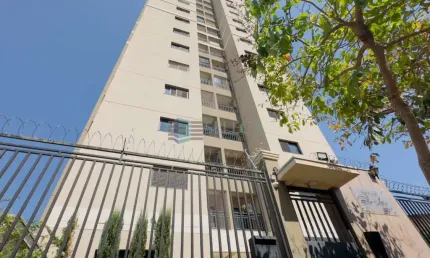 Apartamento - padrão / residencial / boa vista / 3 dormitorios